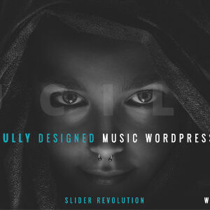Lucille - Music WordPress Theme